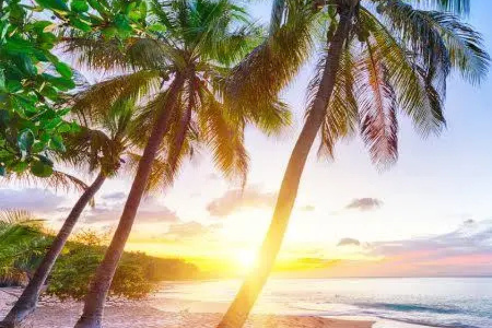 Soleil, lagon turquoise Sainte-Anne Guadeloupe