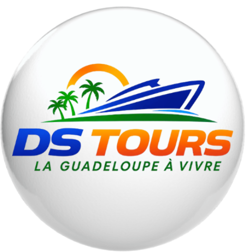 Logo DS TOURS