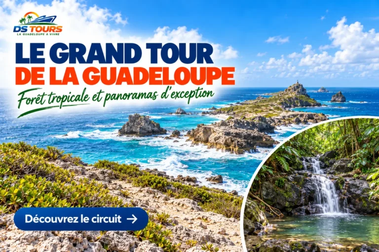 Excursion DS TOURS « Le Grand Tour de la Guadeloupe » : illustration d’un panorama côtier rocheux et d’une cascade en forêt tropicale.